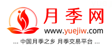 中国上海龙凤419，月季品种介绍和养护知识分享专业网站(图1)