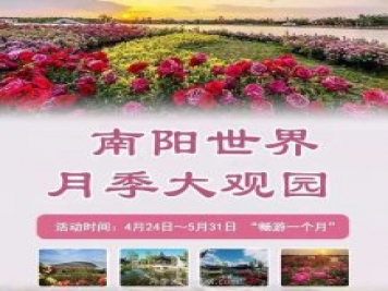 第十二届南阳月季花会4月29日开幕，活动丰富多彩