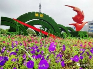 上海松江这里的花坛、花境“上新”啦!特色景观升级!