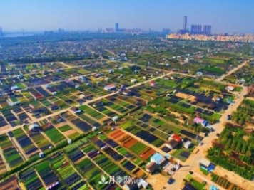 广东省中山市横栏镇，这个3万亩的花木之乡，亩均年产值竟达10万元