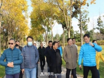 提升城市园林绿化，苏州向上海学什么？